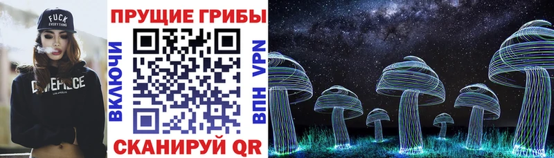 Галлюциногенные грибы мухоморы  Няндома 